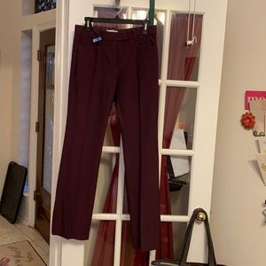 Modern Boot GAP Slacks, Plum, Size 2A